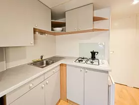 Bungalows y Cabañas SOLOPUENT Natur apartamentos turísticos en Castiello de Jaca